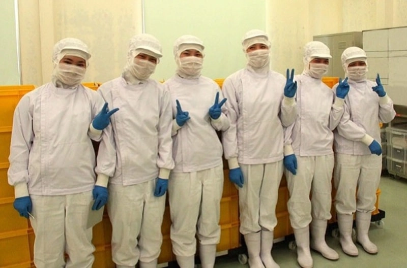 Quần Áo Công Nhân Thực Phẩm 