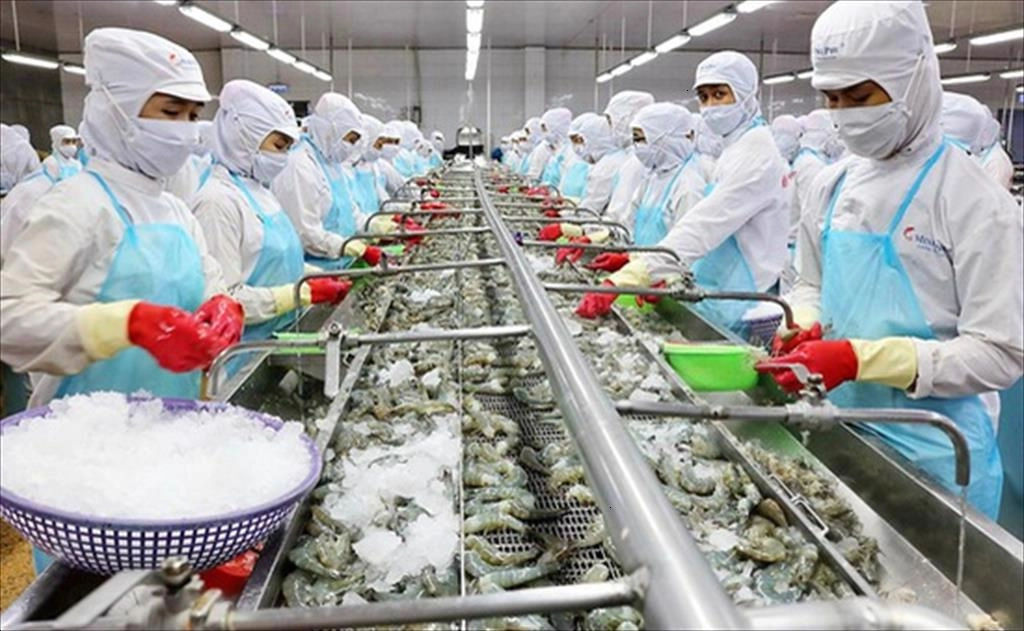 Quần Áo Chế Biến Hải Sản 