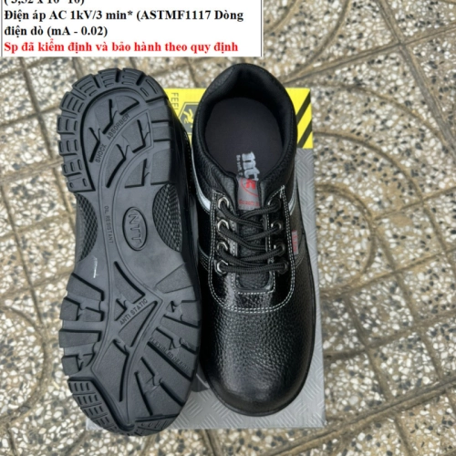 Giày Bảo Hộ Lao Động NTT-S9